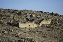Barrera del Olivo de Santa Lucía