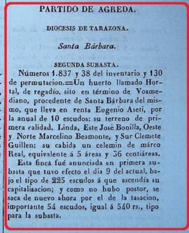 Un Hortal en Vozmediano