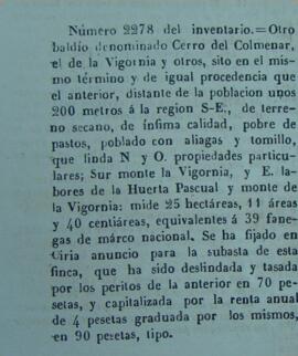 Baldíos de Cerro del Colmenar, el de la Vigornia y otros