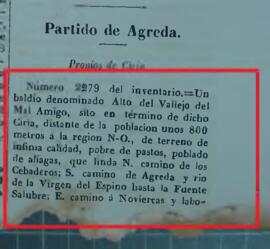 Baldíos de Alto del Vallejo del Mal Amigo