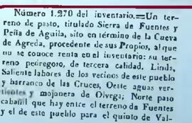 Terreno de pastos Sierra de Fuentes y Peña del Águila