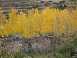 Pared sur interior del estanque del Cerrado de los Amoses