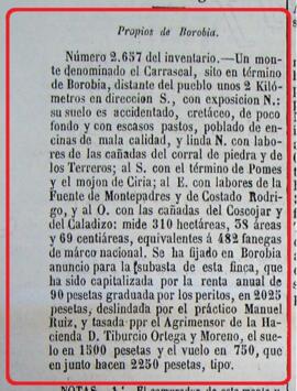 Un monte denominado el Carrascal en Borobia (Soria)
