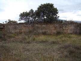 Pared interior del estanque del Cerrado de los Amoses