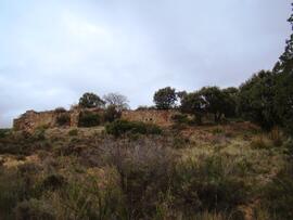 Pared y contrafuertes del estanque del Cerrado de los Amoses