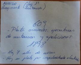 Pleitos criminales, ejecutorias de sentencias y apelaciones