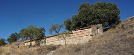 Abejera de Plazarín